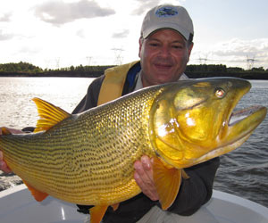 dorado fishing Uruguay