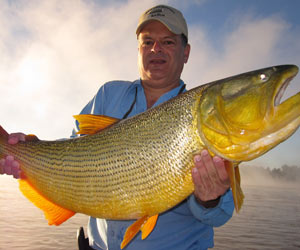 dorado fishing salto