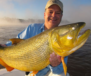 dorado fly fishing